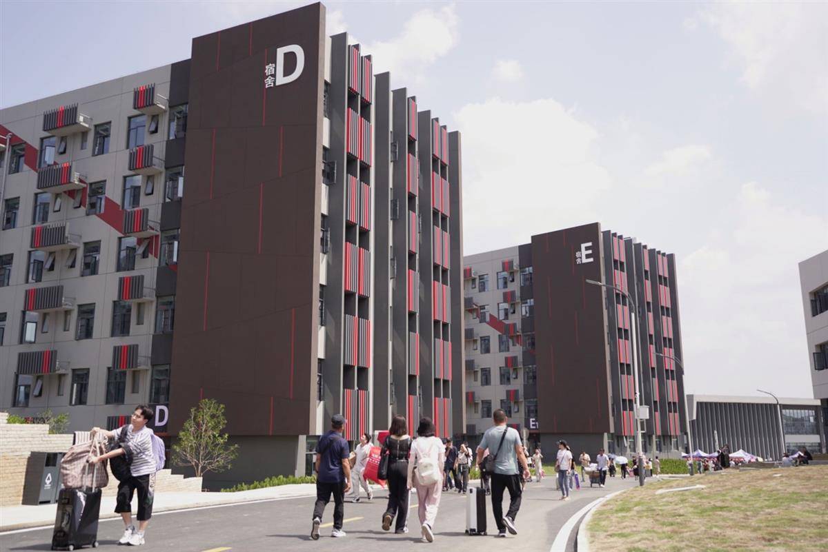 鱼丸游戏电脑版